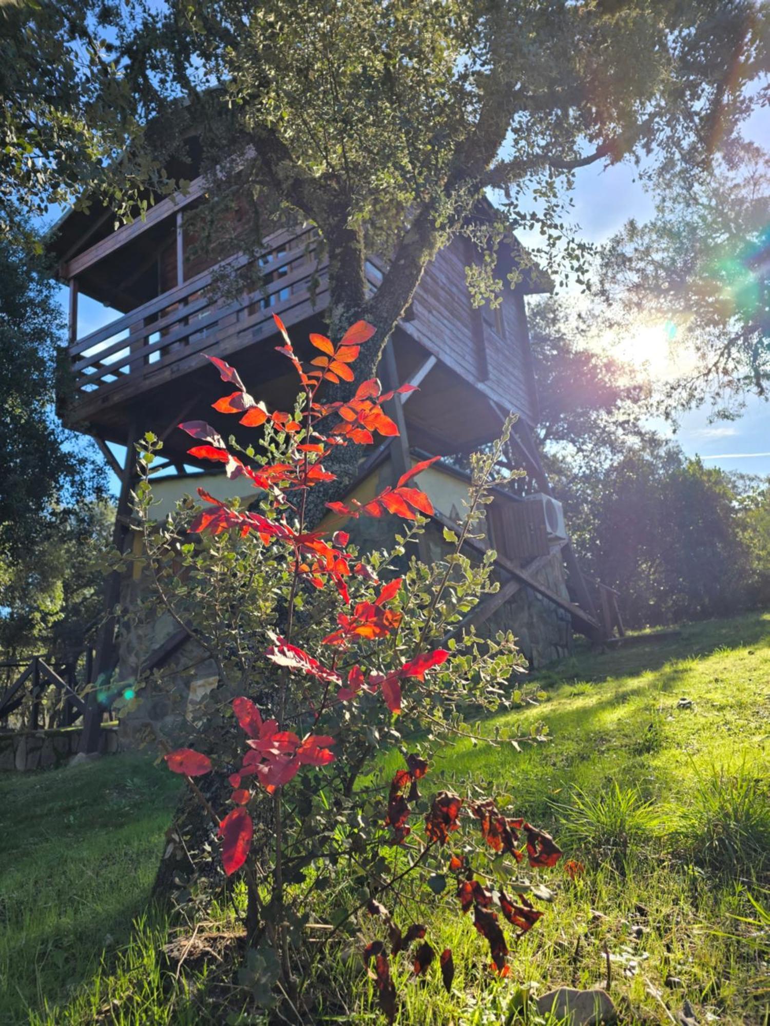 Nuevo Ecolodge Cabaneros Retuerta de Bullaque Exterior foto