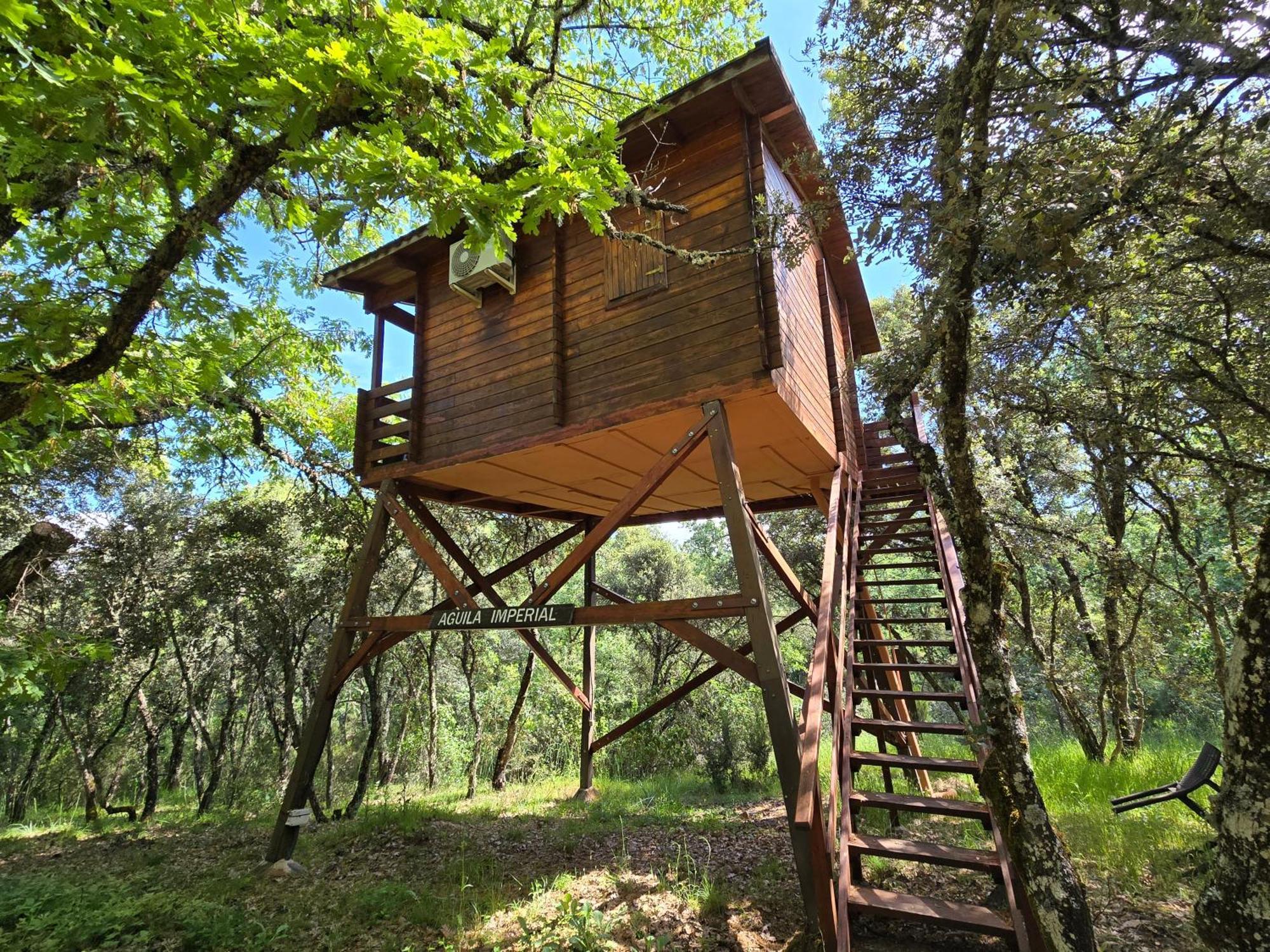 Nuevo Ecolodge Cabaneros Retuerta de Bullaque Exterior foto